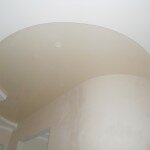 DSCN0366