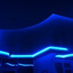 IMG_1387